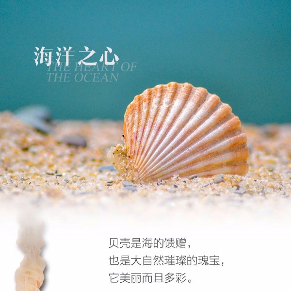 OTL照明招商加盟,家居灯批发厂家,中山灯具品牌厂家，led照明灯具厂家